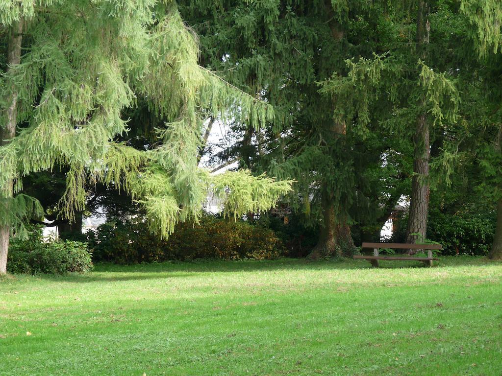 Parkhotel Bad Hall Exteriér fotografie